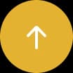 Scroll to Top